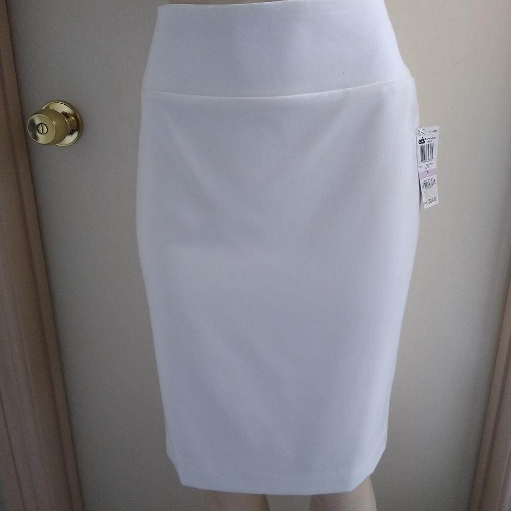 Alfani Skirt